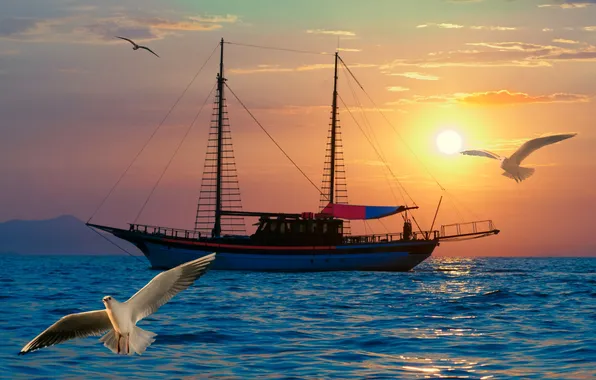 Sea, the sky, birds, romance, sailboat, the evening
