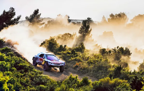 Auto, Dust, Sport, Machine, Speed, Race, Peugeot, Lights