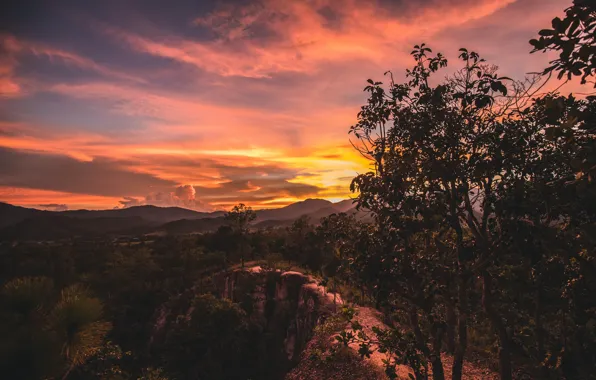 Picture the sky, clouds, trees, sunset, mountains, nature, open