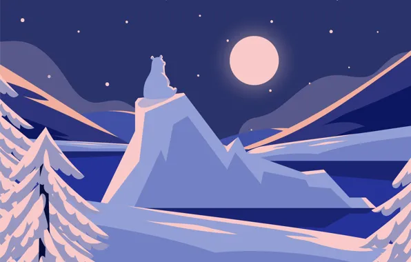 Winter, the sky, stars, snow, trees, landscape, mountains, night