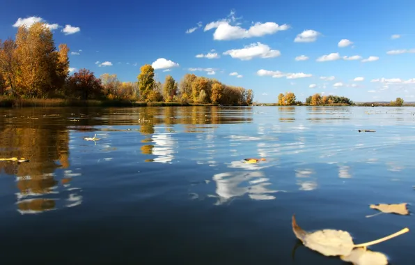 Picture Luke, Volga, Samara