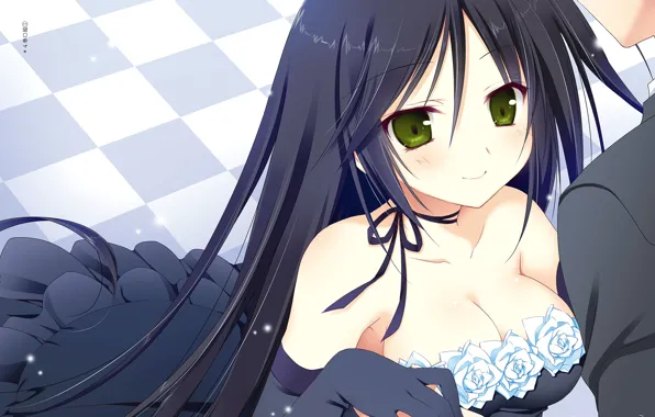 Girl, Roses, Neckline, Juuoumujin no Fafnir
