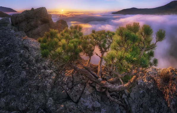 Picture the sun, clouds, rays, landscape, mountains, nature, tree, rocks