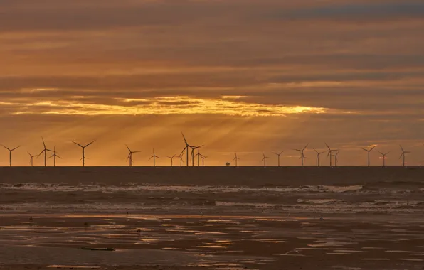 Picture sea, sunset, windmills