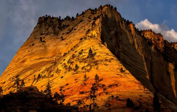 The sun, clouds, trees, mountains, rocks, Utah, USA, Zion National Park
