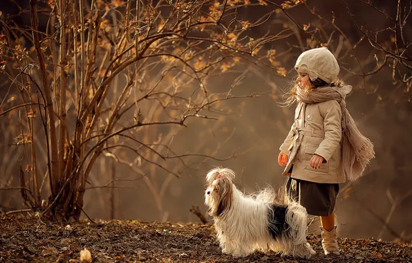 Autumn, branches, nature, animal, Bush, dog, girl, child