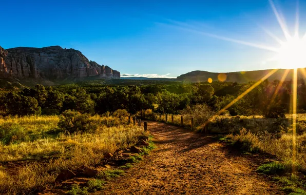 The sun, trees, mountains, Arizona, The Sun Also Rises