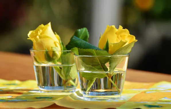 Picture flowers, roses, glasses, napkin