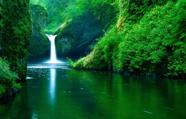 Greens, river, waterfall