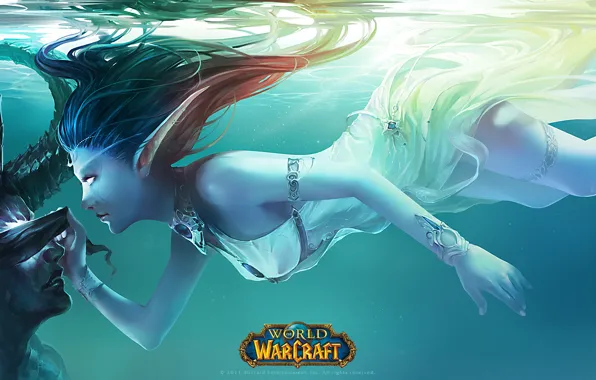 Wallpaper Elves, World Of Warcraft, Illidan, Tyrande Images For.