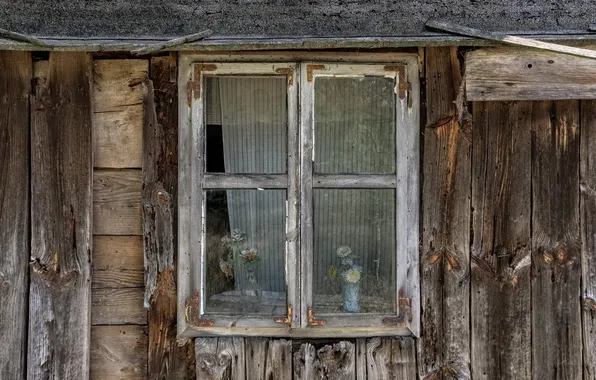Flowers, home, window