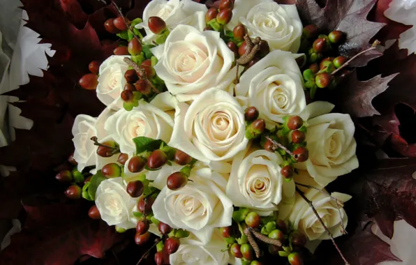 White, flowers, photo, roses, bouquet