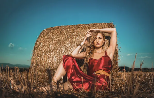 Summer, girl, hay