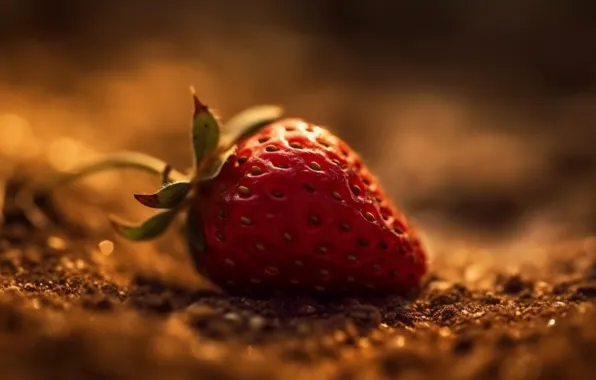 Berries, rendering, blur, strawberry, lies, blur, bokeh, digital art