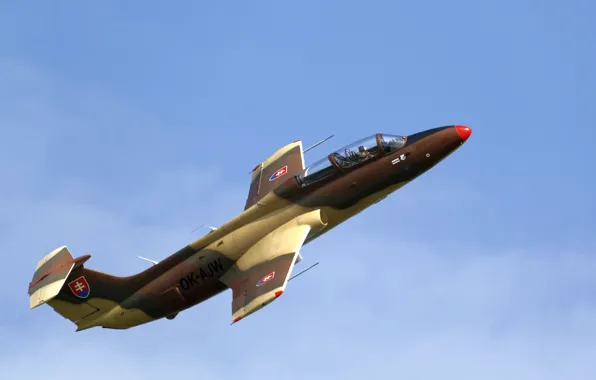 The plane, training, "Dolphin", L-29 Delfin