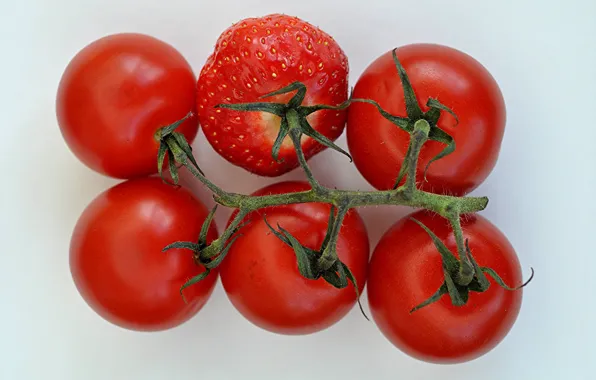 Collage, strawberry, tomatoes, tomatoes