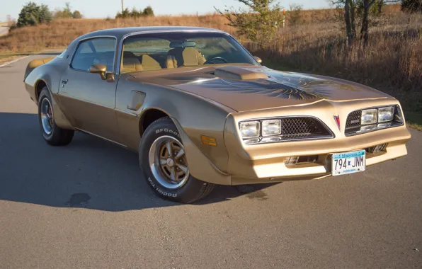 Picture Pontiac, 1978, Gold, Trans