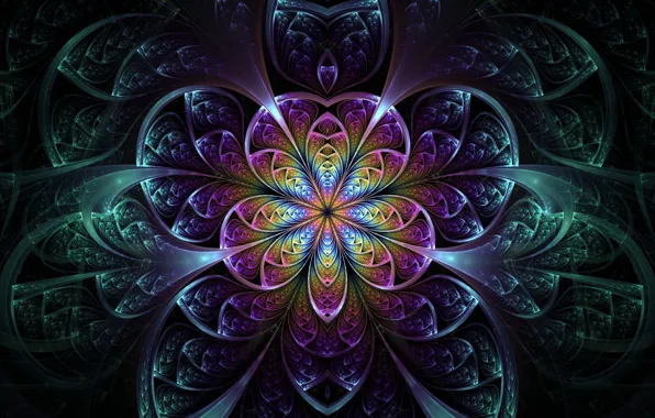 Wallpaper flower, background, black, pattern for mobile and desktop