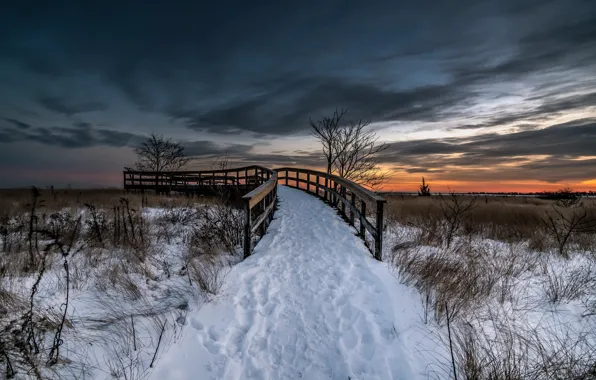 Picture winter, sunset, bridge