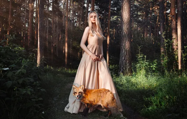 Picture forest, girl, trees, pose, dress, Fox, red, Karina