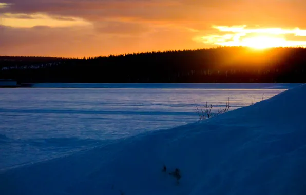Winter, forest, snow, sunset, nature, the evening