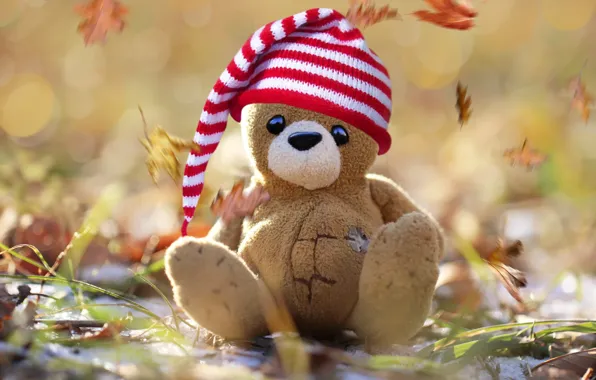 Picture leaves, background, bear, weed