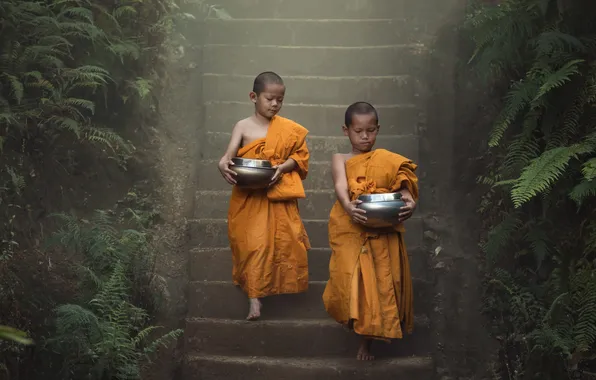 Nature, boy, asian, monk