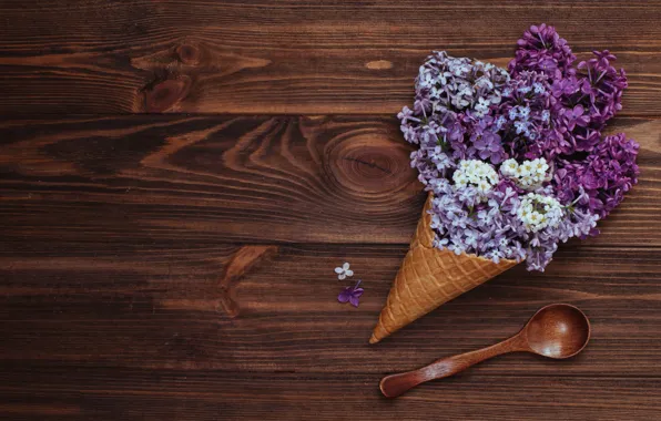 Flowers, horn, wood, flowers, lilac, spring, lilac, cone