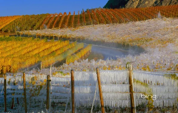 Ice, autumn, the sky, light, landscape, mountains, grapes, vineyard