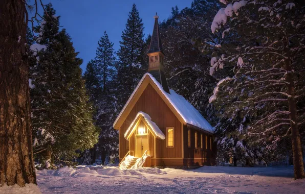 Picture winter, forest, snow, trees, landscape, nature, the evening, ate