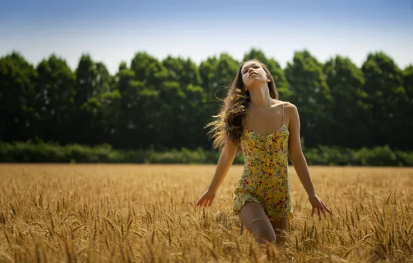 Picture wheat, field, summer, girl, nature, hair