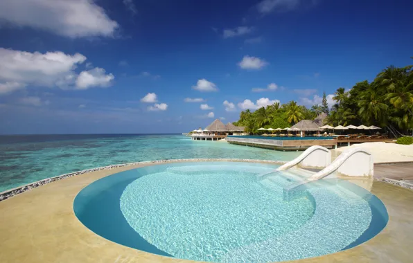 Picture beach, the ocean, pool, resort, fantastic Maldives
