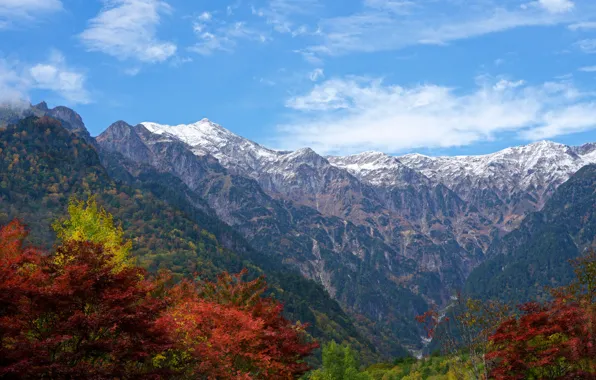 Autumn, forest, the sky, clouds, trees, mountains, rocks, Japan