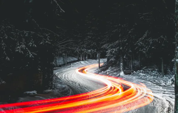 Picture road, forest, night, lights