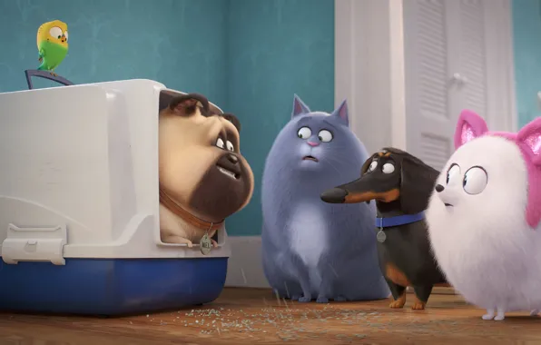 Picture The Secret Life Of Pets 2, animal, The Secret Life Of Pets 2, cat, rabbit, …