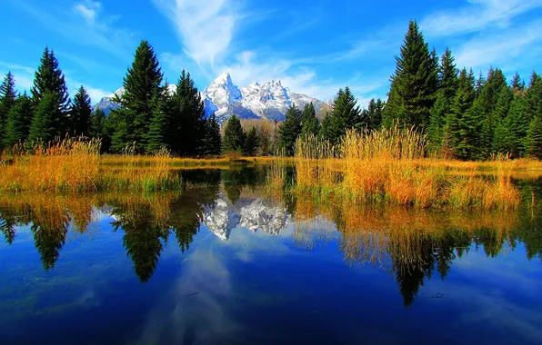 Picture the sky, trees, mountains, lake, reflection, spruce, Wyoming, USA