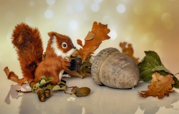 Autumn, toy, protein, acorns, acorn, autumn leaves