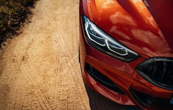 Picture coupe, the hood, BMW, bumper, Coupe, 2018, 8-Series, dark orange