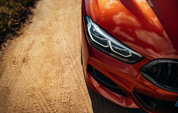 Coupe, the hood, BMW, bumper, Coupe, 2018, 8-Series, dark orange