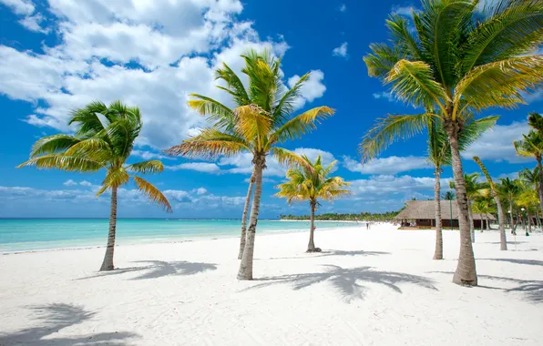Sand, sea, beach, summer, the sky, palm trees, summer, beach