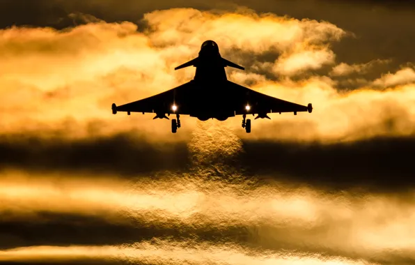 Weapons, the plane, Typhoon