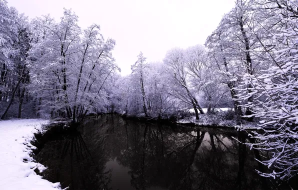 Winter, forest, water, snow, trees, nature, river