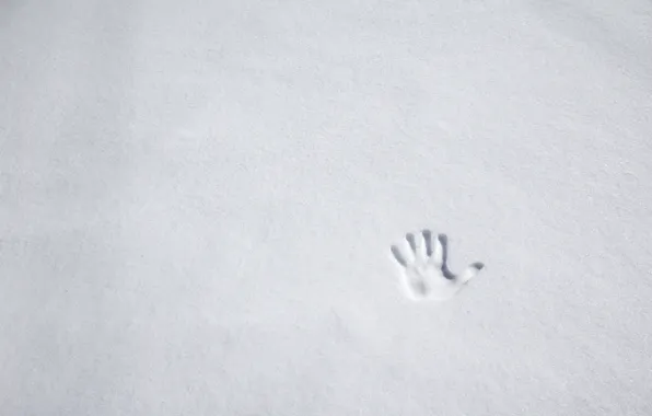 Winter, snow, palm, imprint