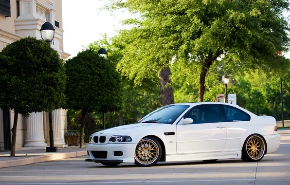 Picture white, trees, bmw, BMW, lights, white, wheels, gold