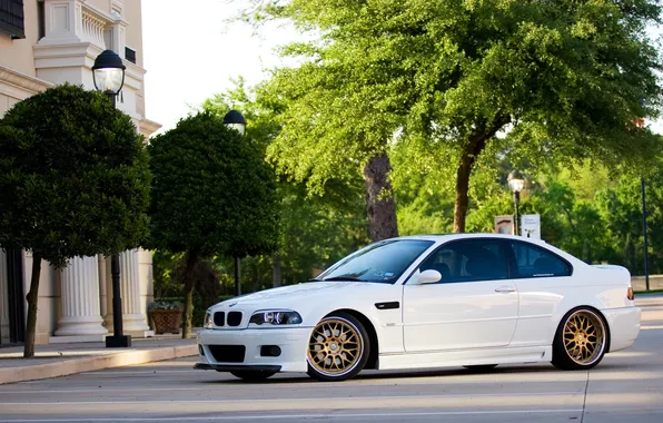 White, trees, bmw, BMW, lights, white, wheels, gold