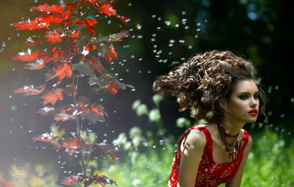 Summer, girl, nature, dress, Picasa