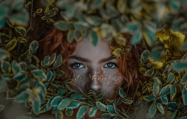 Picture eyes, look, leaves, girl, face, red, redhead