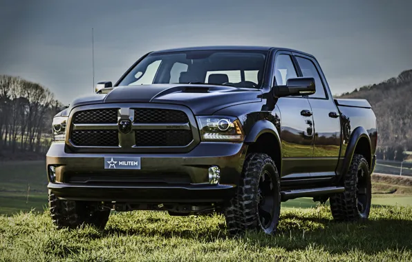 Grass, Dodge, pickup, Ram, 2017, 1500 RX Crew Cab, Soldier