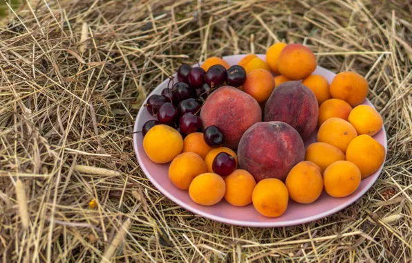 Hay, straw, bowl, fruit, peaches, cherry, apricots