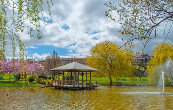 Picture trees, pond, Park, fountain, gazebo, trees, park, pond